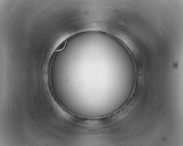 X0000102351468200808010925