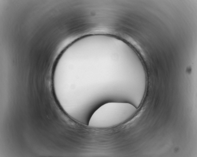 X0000102351469200808010925