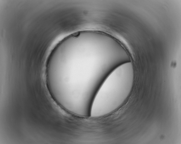 X0000102351472200808010925
