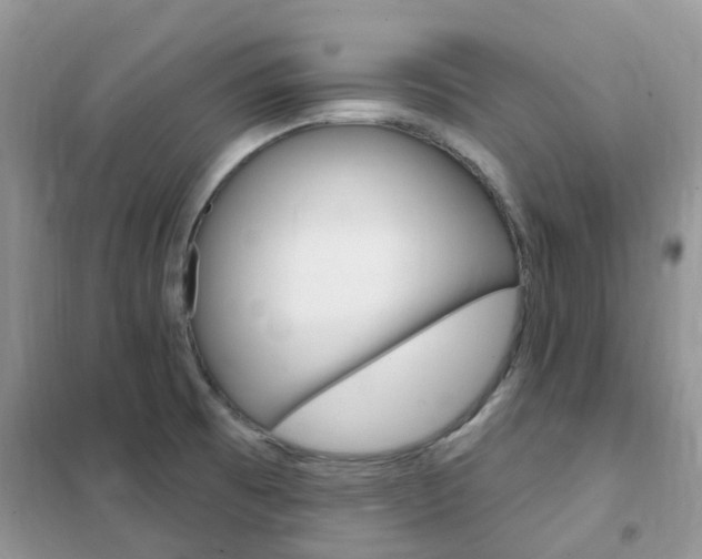 X0000102351473200808010925