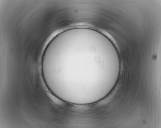 X0000102351474200808010925