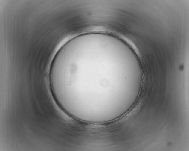 X0000102351475200808010925