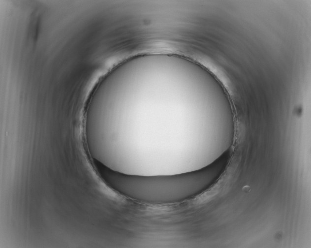 X0000102351477200808010925