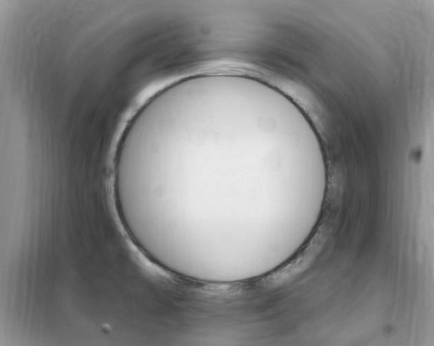 X0000102351478200808010925