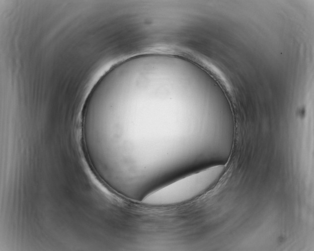 X0000102351479200808010925
