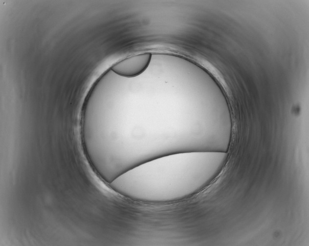 X0000102351482200808010924