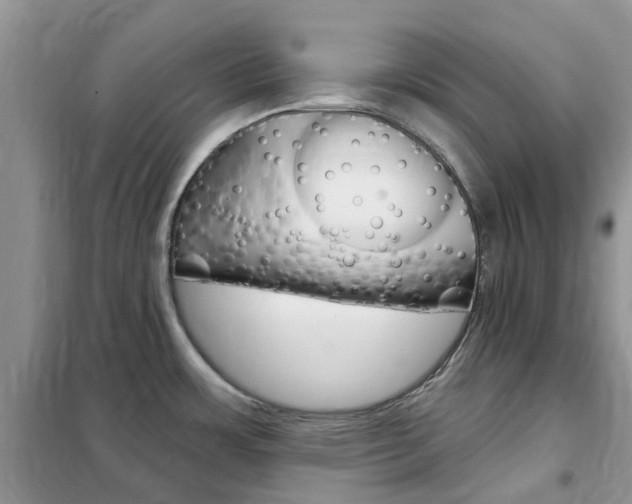 X0000102351483200808010924