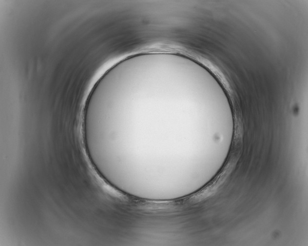 X0000102351486200808010924