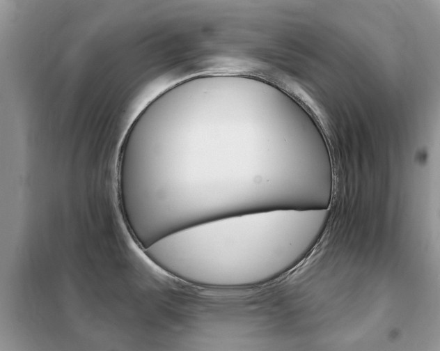 X0000102351487200808010924