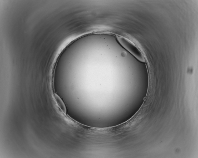 X0000102351488200808010924