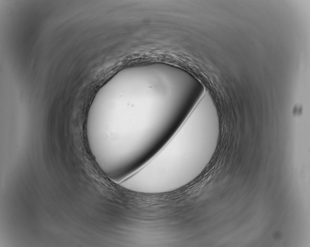 X0000102351489200808010924