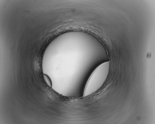 X0000102351490200808010924