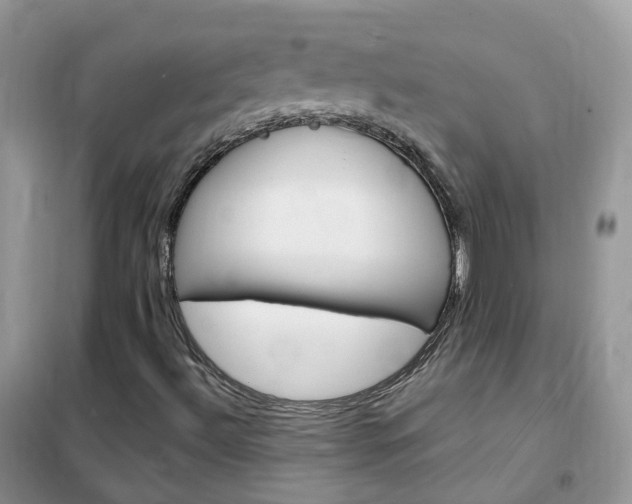 X0000102351492200808010924