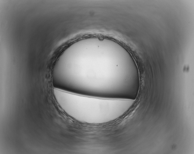 X0000102351494200808010924