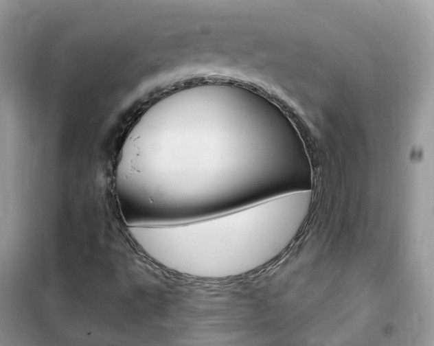X0000102351495200808010924