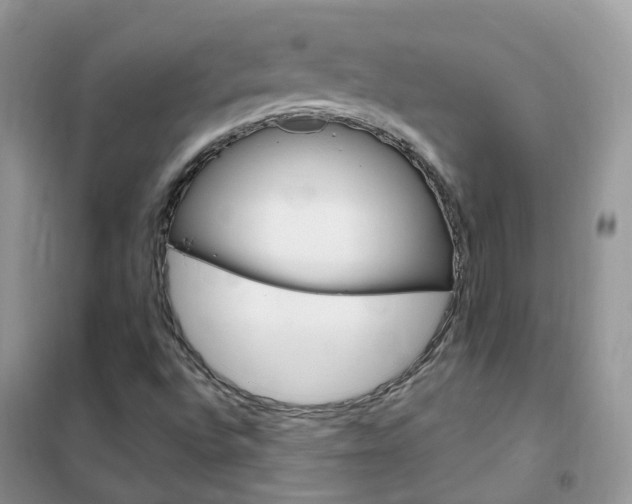 X0000102351496200808010924