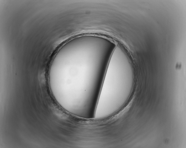 X0000102351497200808010924