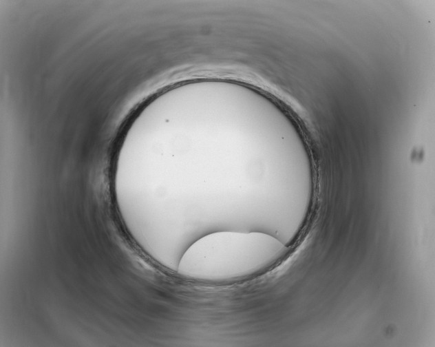 X0000102351498200808010924
