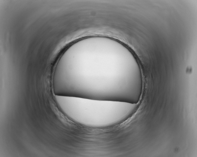 X0000102351499200808010924