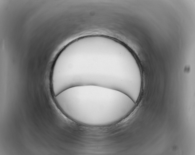 X0000102351500200808010924