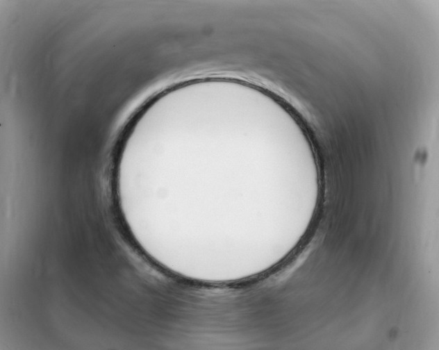 X0000102351502200808010924