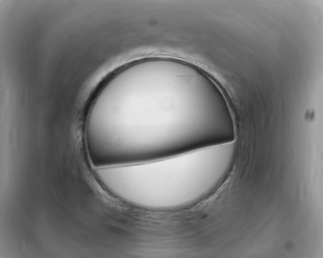 X0000102351503200808010924