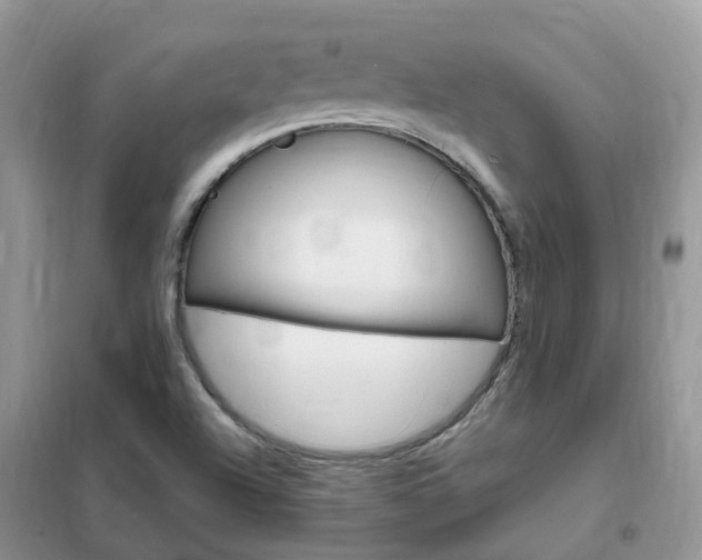 X0000102351504200808010924