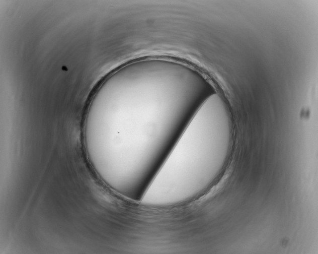 X0000102351505200808010924