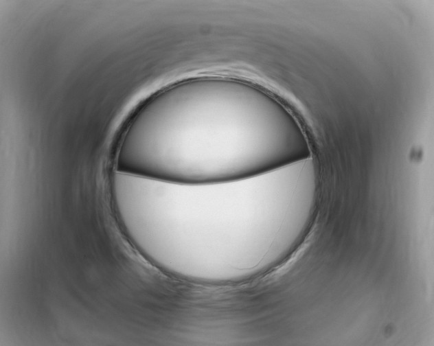 X0000102351506200808010924