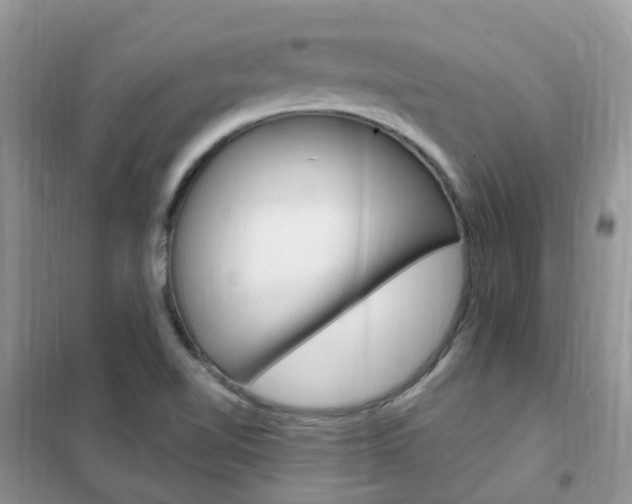 X0000102351510200808010924