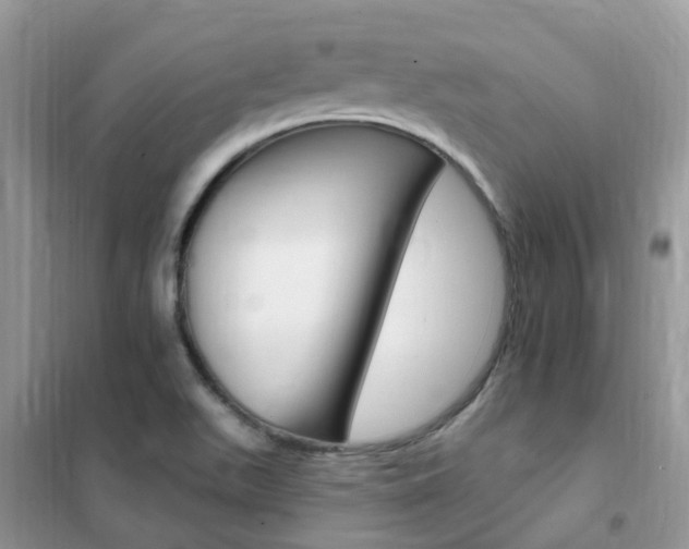 X0000102351511200808010924