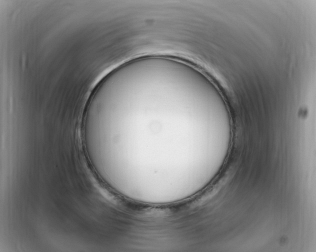 X0000102351513200808010924