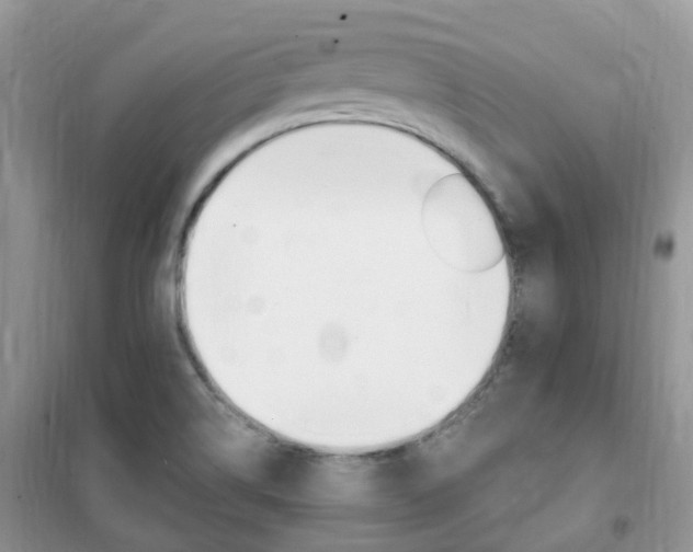 X0000102351514200808010924