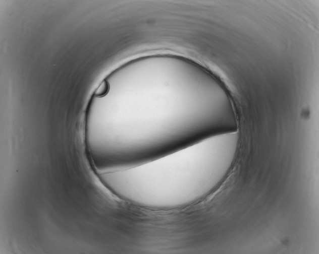 X0000102351516200808010924