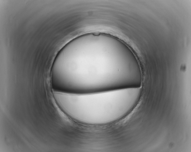 X0000102351521200808010924