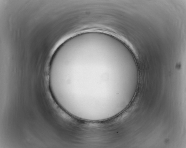 X0000102351522200808010924