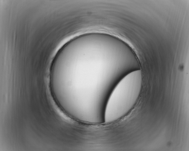 X0000102351523200808010924