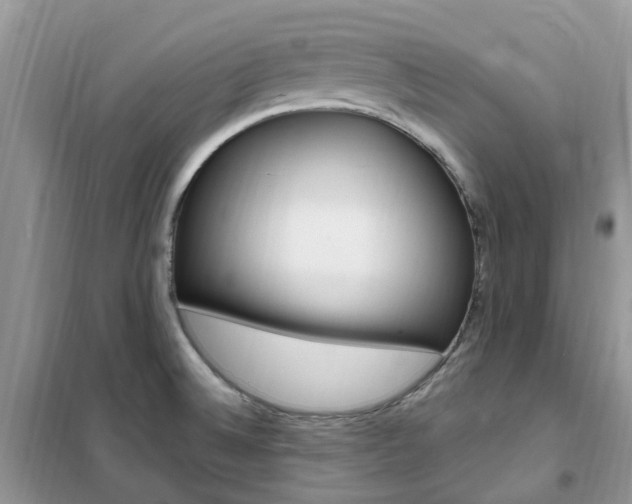 X0000102351524200808010924