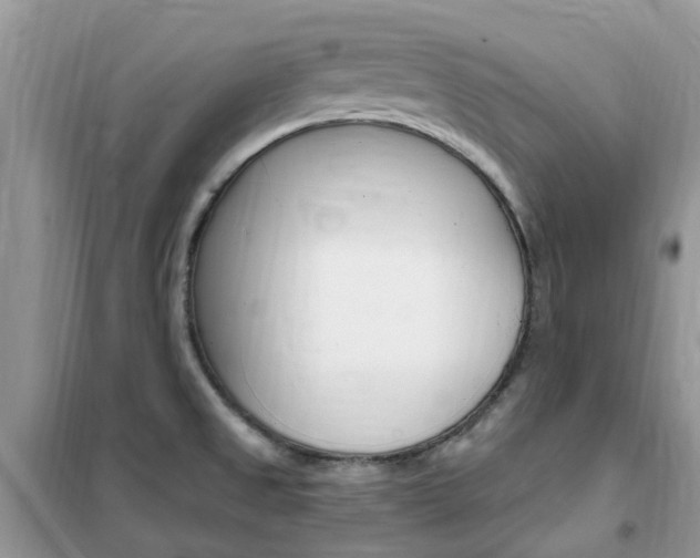 X0000102351525200808010924