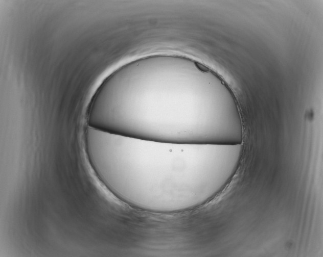 X0000102351526200808010924