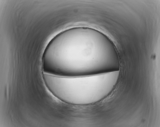 X0000102351527200808010924