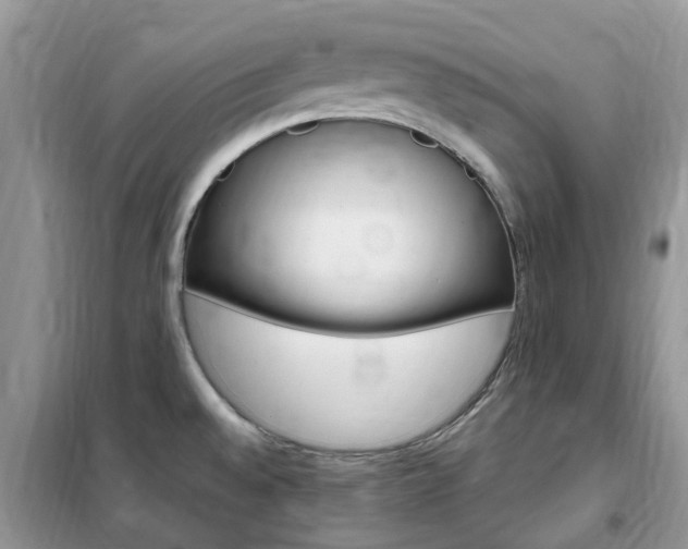 X0000102351528200808010924