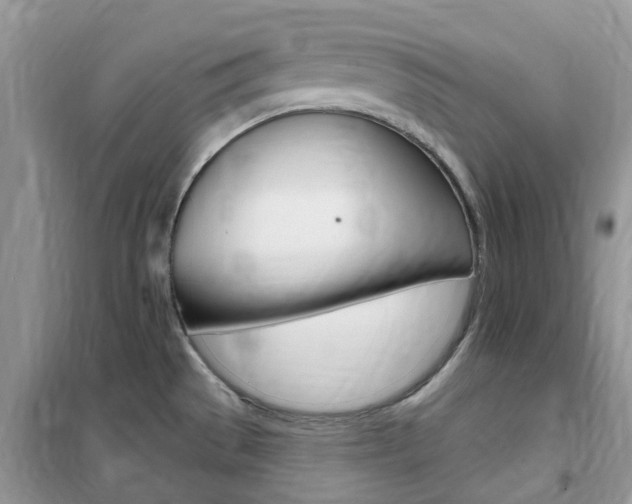 X0000102351529200808010924
