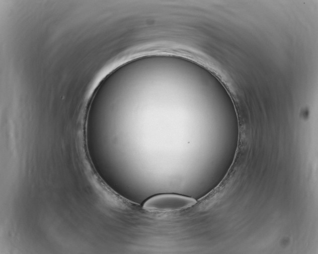 X0000102351530200808010924