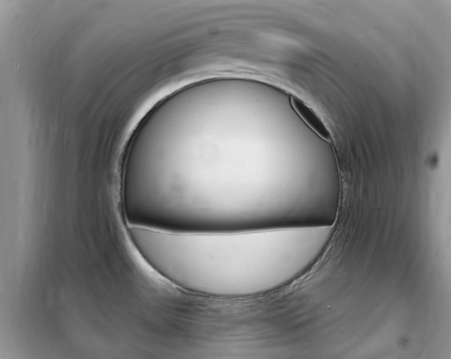 X0000102351531200808010924