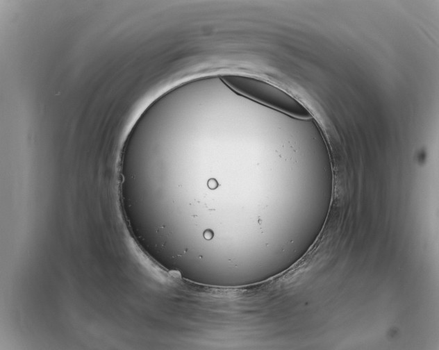 X0000102351532200808010924
