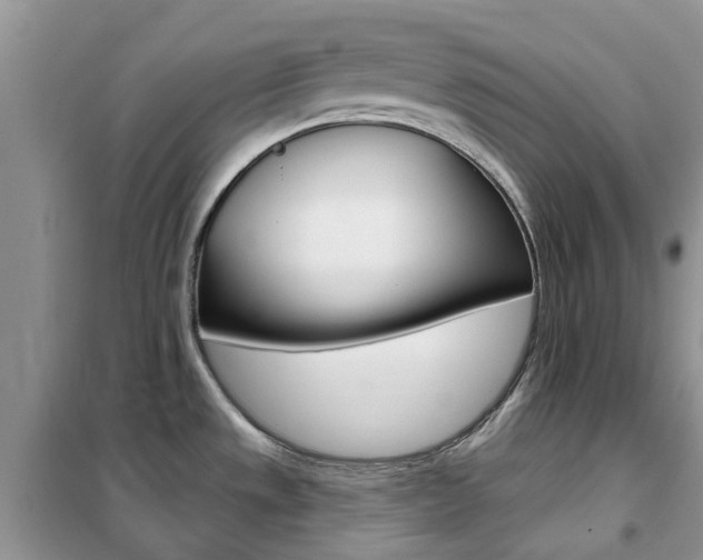 X0000102351533200808010924