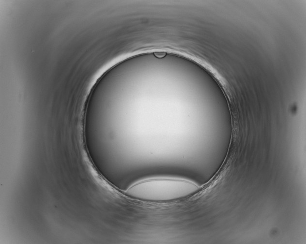 X0000102351534200808010924