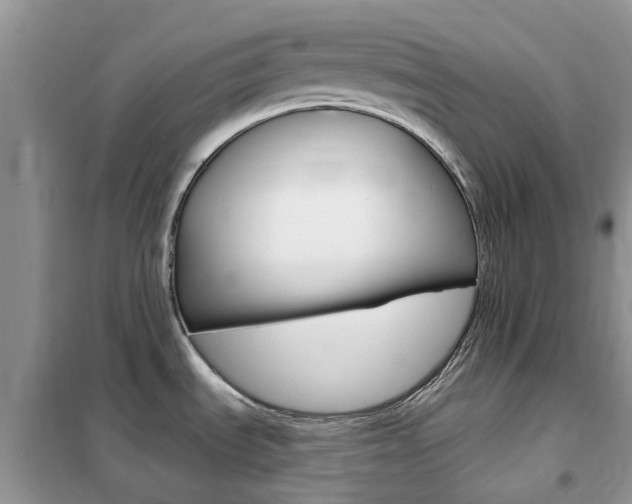 X0000102351535200808010924