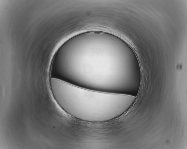 X0000102351536200808010924